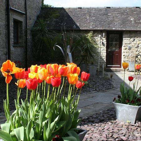 Birslack Grange Kendal Buitenkant foto