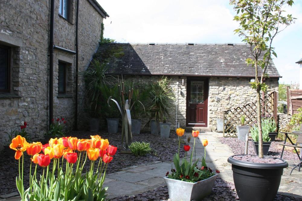 Birslack Grange Kendal Buitenkant foto